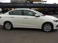 Fiat Tipo Tipo 1,3 MultiJet II 95 Easy Easy Weiß - thumbnail 4