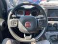 Fiat Panda Panda III 2021 Cross Panda 1.0 firefly hybrid Cro Verde - thumbnail 15
