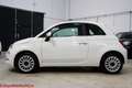 Fiat 500 1.0 hybrid Lounge 70cv - Ok neopatentati Alb - thumbnail 12