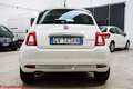 Fiat 500 1.0 hybrid Lounge 70cv - Ok neopatentati Alb - thumbnail 14