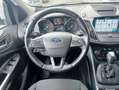 Ford Kuga 1.5 TDCI 120 CV S&S 2WD Pow. Titanium OPERATORI! Blanc - thumbnail 9