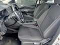 Ford Kuga 1.5 TDCI 120 CV S&S 2WD Pow. Titanium OPERATORI! Blanc - thumbnail 8