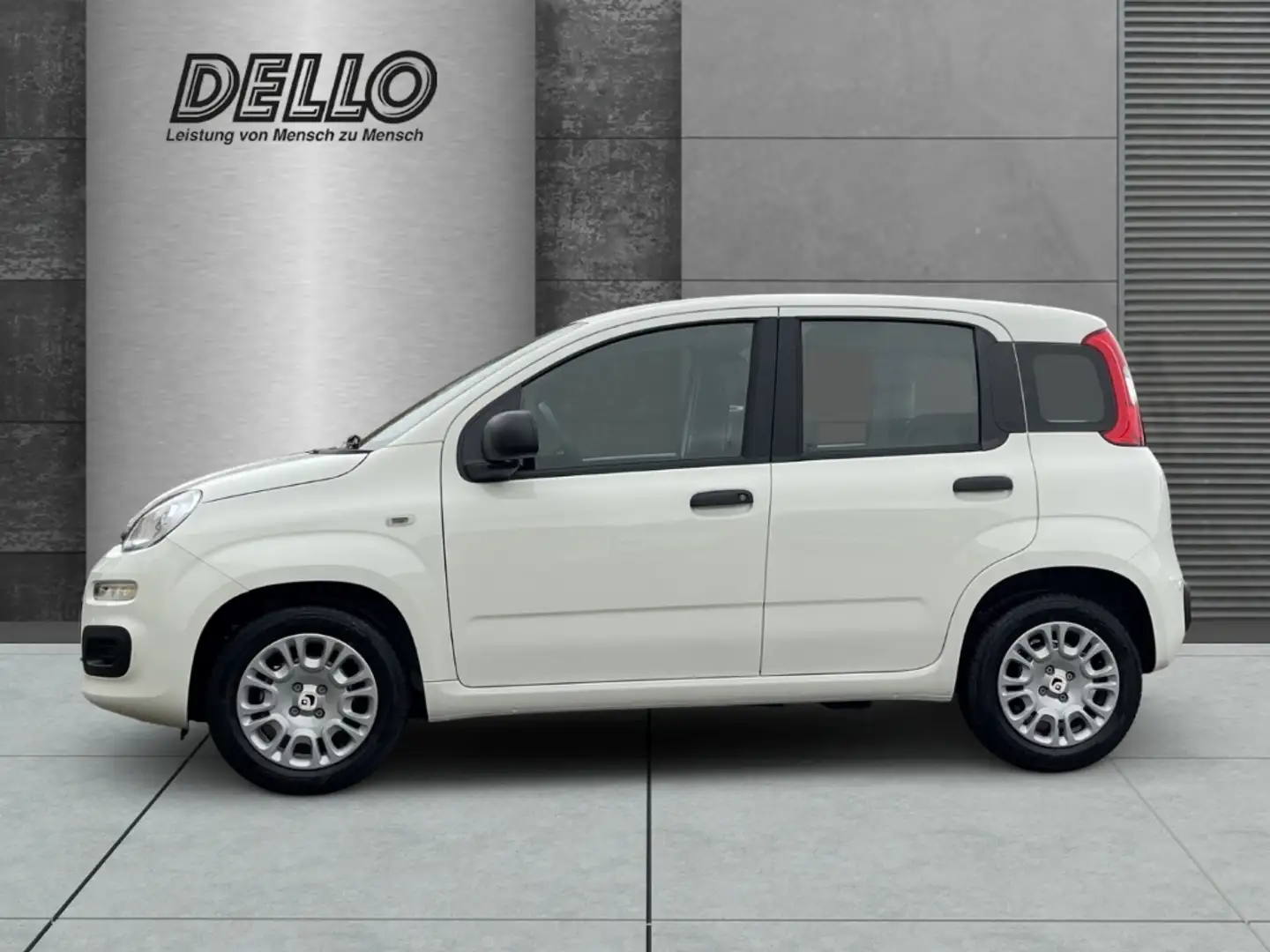 Fiat Panda Gewerbeleasing Klimaanlage Parkpilot ZV Blanc - 2
