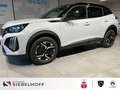 Peugeot 2008 GT HYBRID 145 e-DSC6 Weiß - thumbnail 1