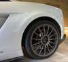 Lamborghini Gallardo LP 560-2 50 Aniversario - thumbnail 3