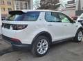 Land Rover Discovery Sport 2.0 S AWD*Leder*Pano*8-fach*19"*Navi*SH*LED* Blanc - thumbnail 8