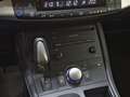 Lexus CT 200h 1.8 Business Grau - thumbnail 25