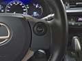 Lexus CT 200h 1.8 Business Grau - thumbnail 18