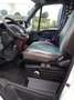Iveco Daily 35 S 12 C 3000L HD 2,3 TD - thumbnail 6
