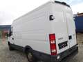Iveco Daily 35 S 12 C 3000L HD 2,3 TD - thumbnail 9