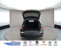 Audi A6 Avant sport 55 TFSI 250kW qu. HDMatrix S line Lede Grau - thumbnail 13
