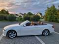 BMW 325 325d Cabrio in traumweiß Weiß - thumbnail 1