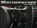 Kia Picanto 1,0 GDI Titan (5 Sitzer) Grau - thumbnail 20