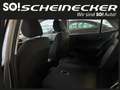Kia Picanto 1,0 GDI Titan (5 Sitzer) Grau - thumbnail 9