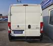Peugeot Boxer Boxer 35 L3H2 BlueHDi 140 S&S --KLIMA/BLUETOOTH-- Weiß - thumbnail 9