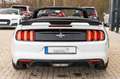 Ford Mustang CABRIO 3.7 SHELBY LPG BRC NAVI LEDER Weiß - thumbnail 15