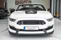 Ford Mustang CABRIO 3.7 SHELBY LPG BRC NAVI LEDER Blanc - thumbnail 2