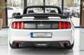 Ford Mustang CABRIO 3.7 SHELBY LPG BRC NAVI LEDER Wit - thumbnail 7