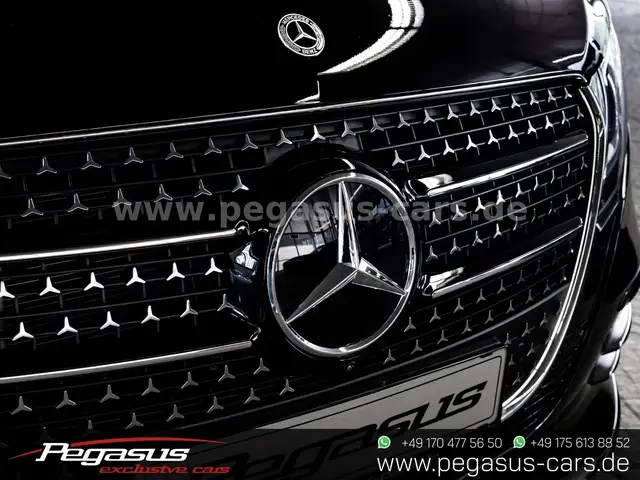 Mercedes-Benz V 300 view 9