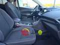 Ford Kuga 1.5 EcoB. Auto S&S Trend 4x2 120 Blanco - thumbnail 14