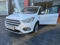 Ford Kuga 1.5 EcoB. Auto S&S Trend 4x2 120 Blanco - thumbnail 26