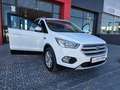 Ford Kuga 1.5 EcoB. Auto S&S Trend 4x2 120 Blanco - thumbnail 25