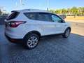 Ford Kuga 1.5 EcoB. Auto S&S Trend 4x2 120 Blanco - thumbnail 8