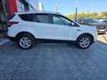 Ford Kuga 1.5 EcoB. Auto S&S Trend 4x2 120 Blanco - thumbnail 9