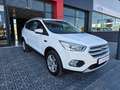 Ford Kuga 1.5 EcoB. Auto S&S Trend 4x2 120 Blanco - thumbnail 10