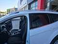 Ford Kuga 1.5 EcoB. Auto S&S Trend 4x2 120 Blanco - thumbnail 28