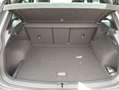 Volkswagen Tiguan Sky TSI Grau - thumbnail 30