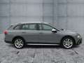 Volkswagen Golf VIII Alltrack TDI DSG MATRIX+AHK+PANO+STHZG Grau - thumbnail 7