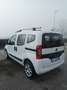 Fiat Qubo 1.3 mjt 16v Lounge 95cv my19 - thumbnail 11