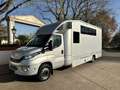 Iveco Daily mit Steinsberger 5 Pferde, 2 Wohnungen Argent - thumbnail 4