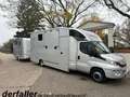 Iveco Daily mit Steinsberger 5 Pferde, 2 Wohnungen Argent - thumbnail 1