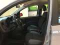 Fiat Panda Panda 1.2 69cv Easy Benzina S3 Grigio - thumbnail 14