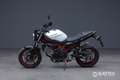 Suzuki SV 650 Abs my21 Blanc - thumbnail 3