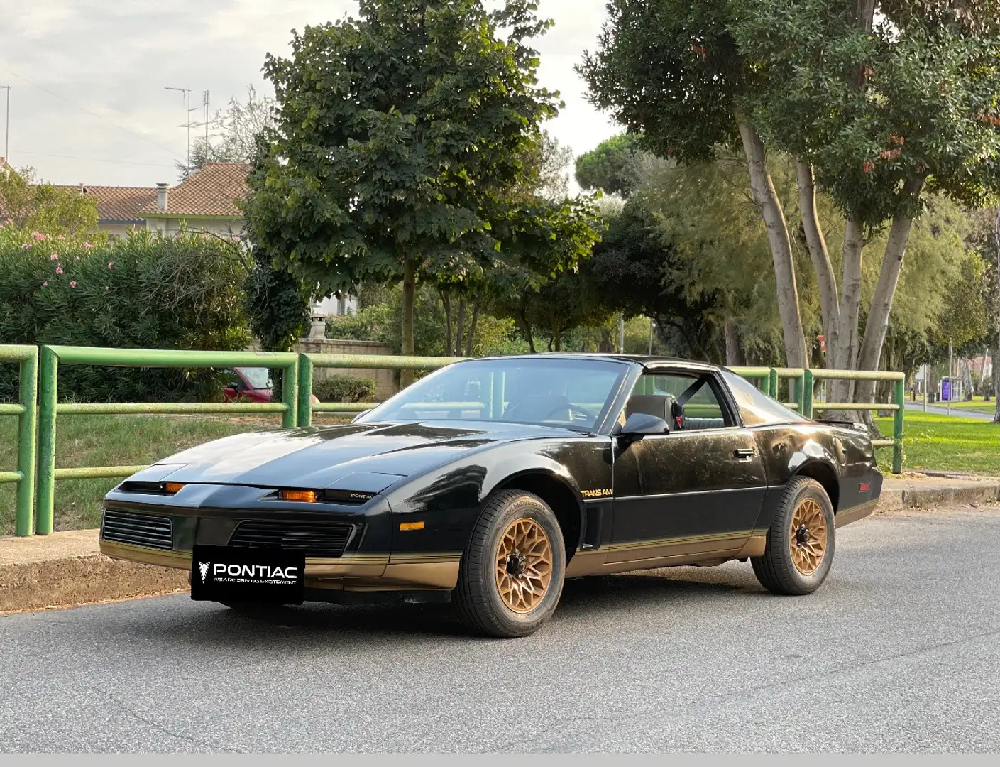 Pontiac Trans Am Firebird - 1