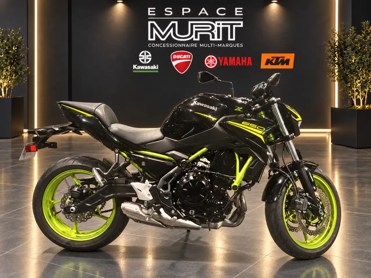 Kawasaki Z 650