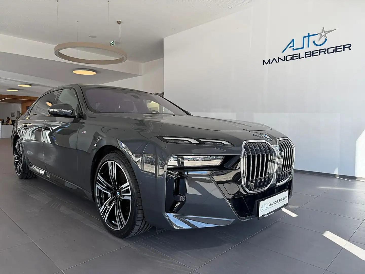 BMW Sonstige 7 50e xDrive M-Sport Grau - 1