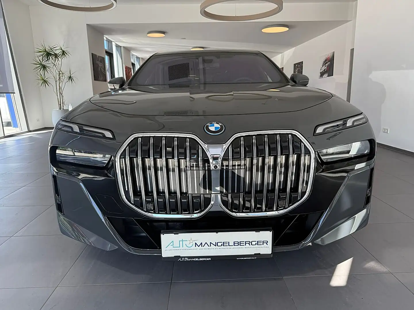 BMW Sonstige 7 50e xDrive M-Sport Grau - 2