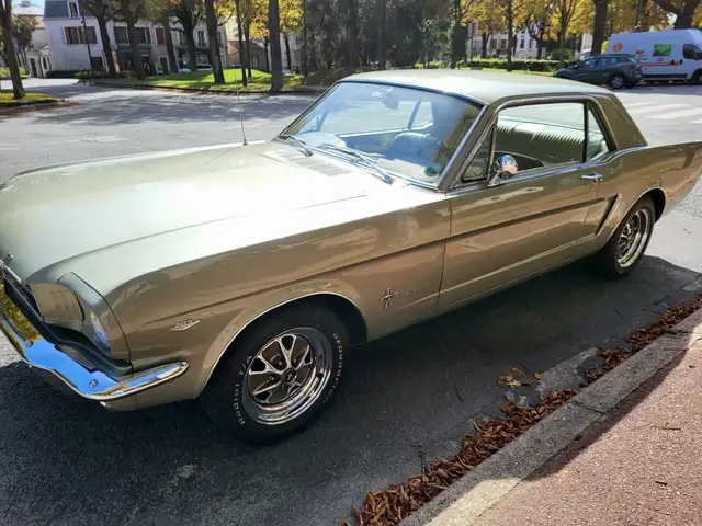 Ford Mustang Pony Interior – Ivy Gold - etat concours