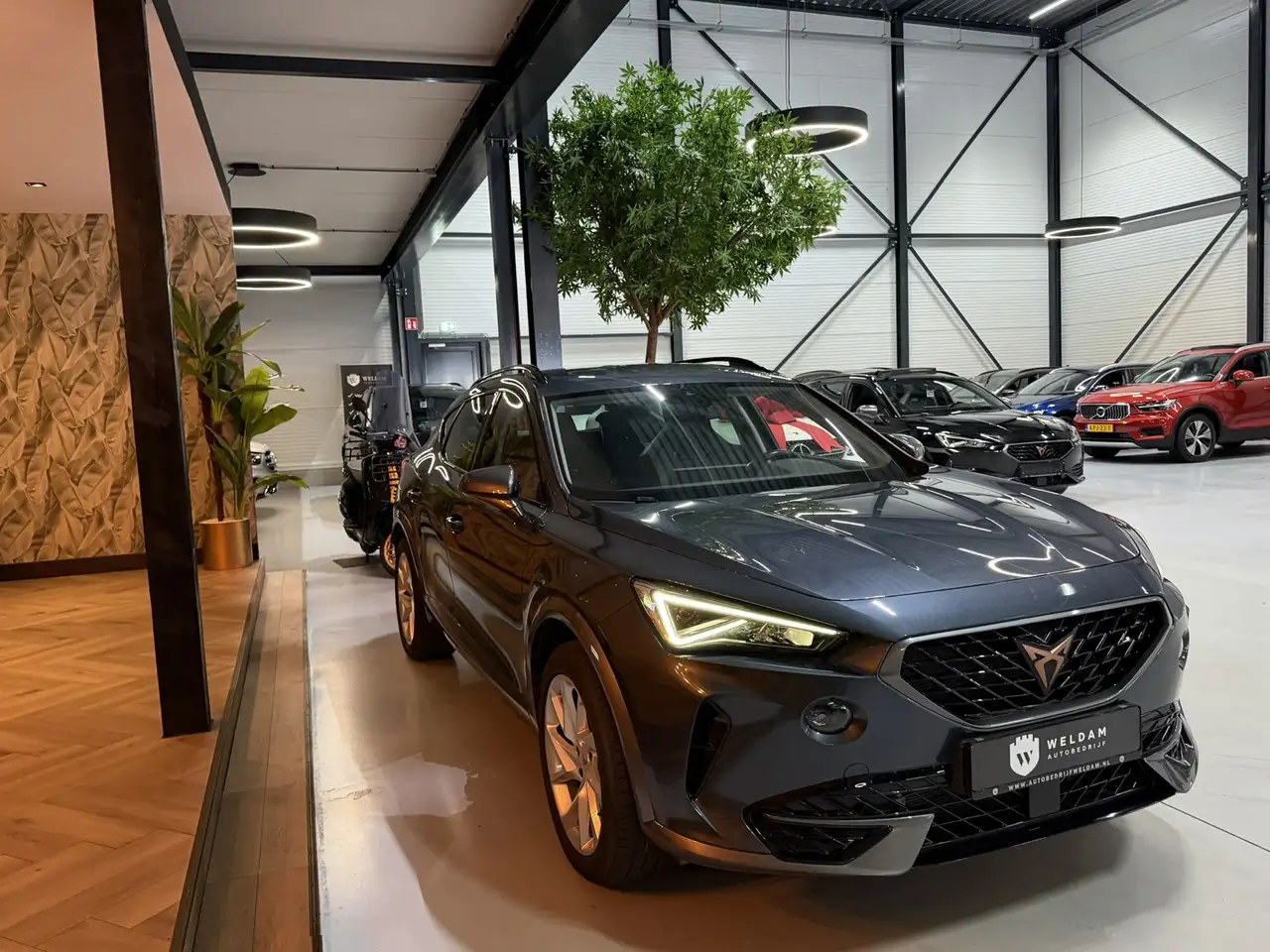 Cupra Formentor 1.4 e-Hybrid Garantie Dealerodh 204PK DSG MEMORY A, миниатюра 12