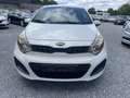 Kia Rio Rio 1.2  Airco  Euro 5 Garantie Wit - thumbnail 5