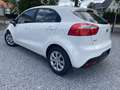 Kia Rio Rio 1.2  Airco  Euro 5 Garantie Wit - thumbnail 4