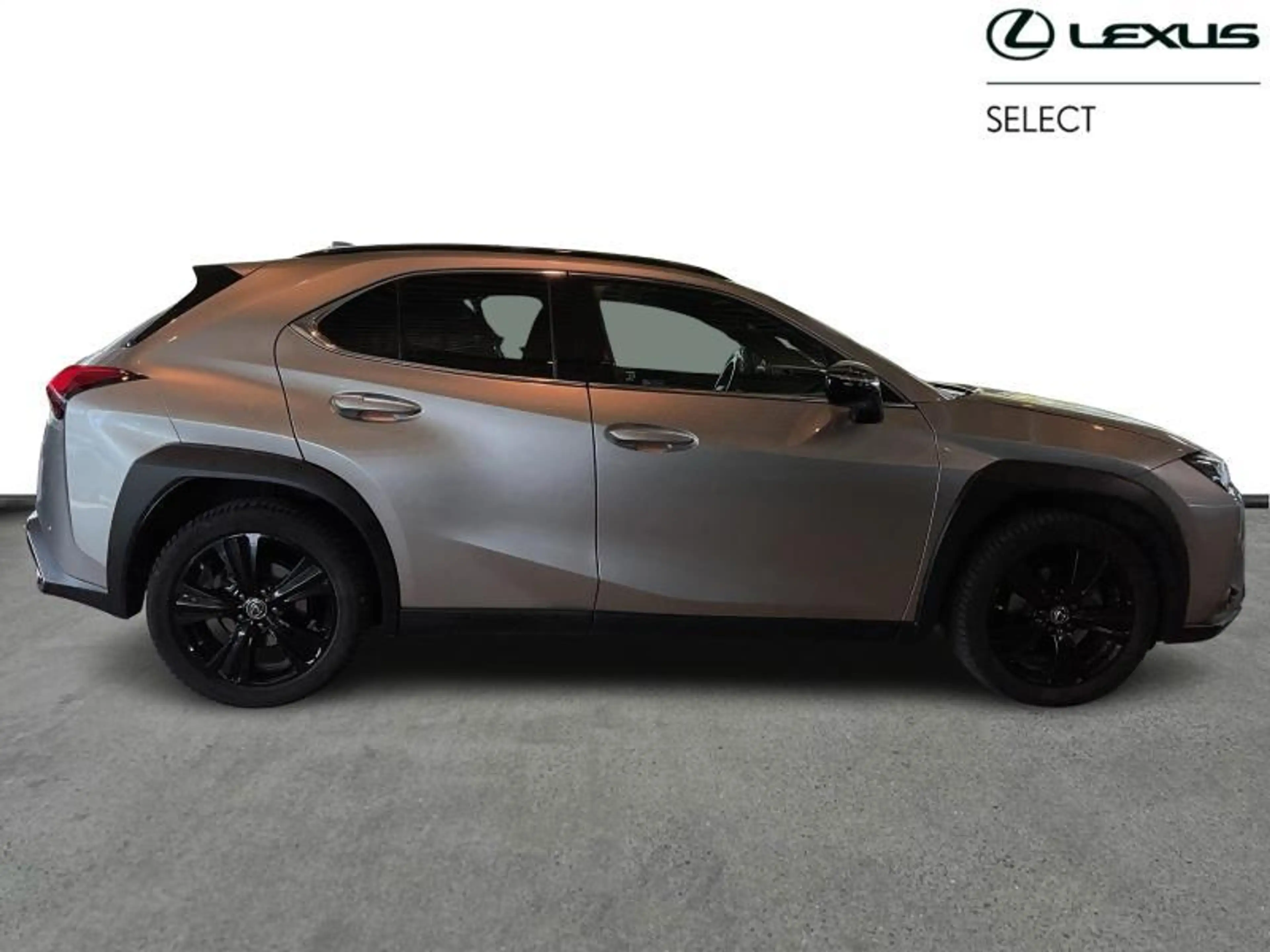 Lexus UX 250h Black Line — photo 14