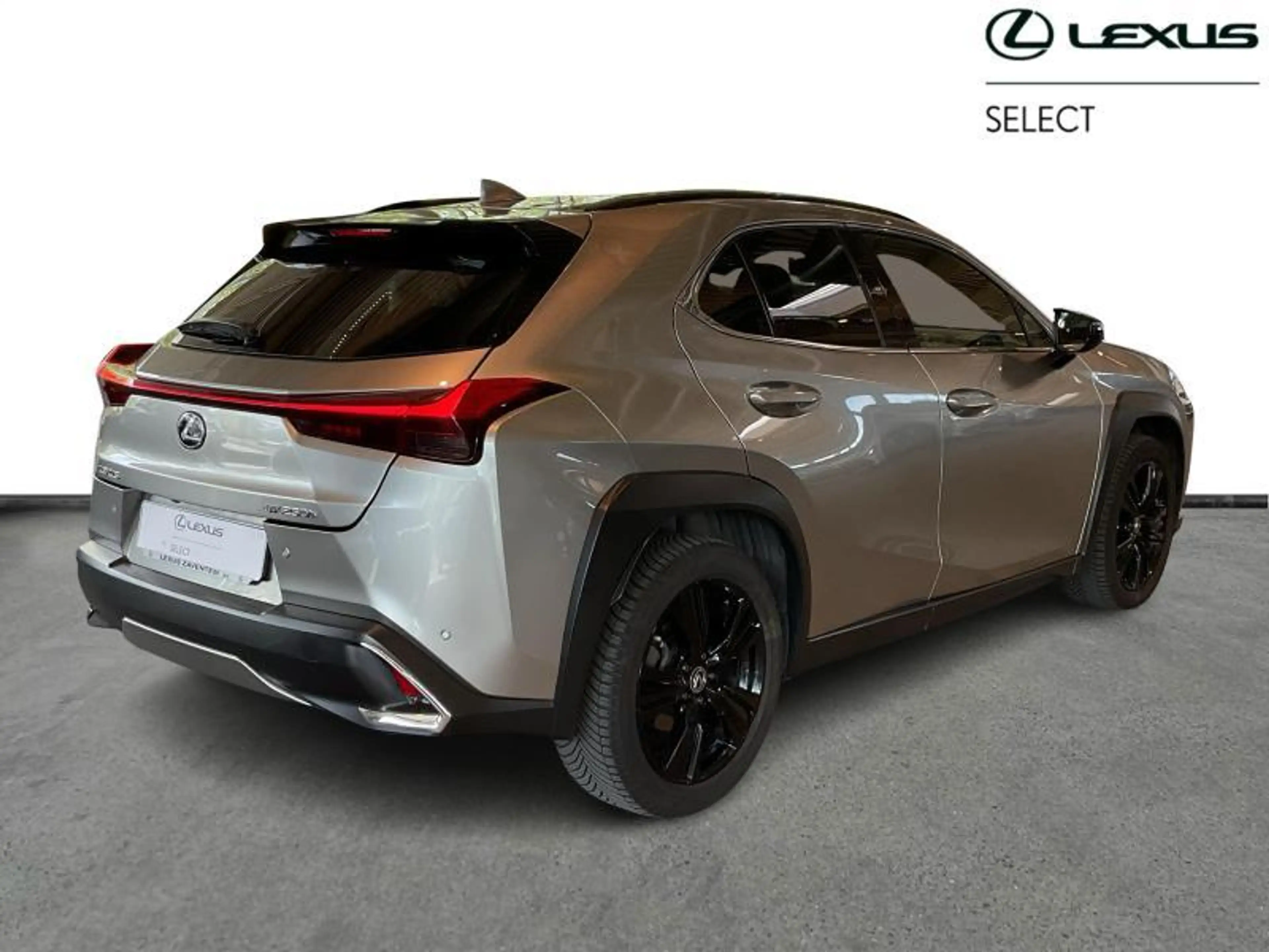 Lexus UX 250h Black Line — photo 15