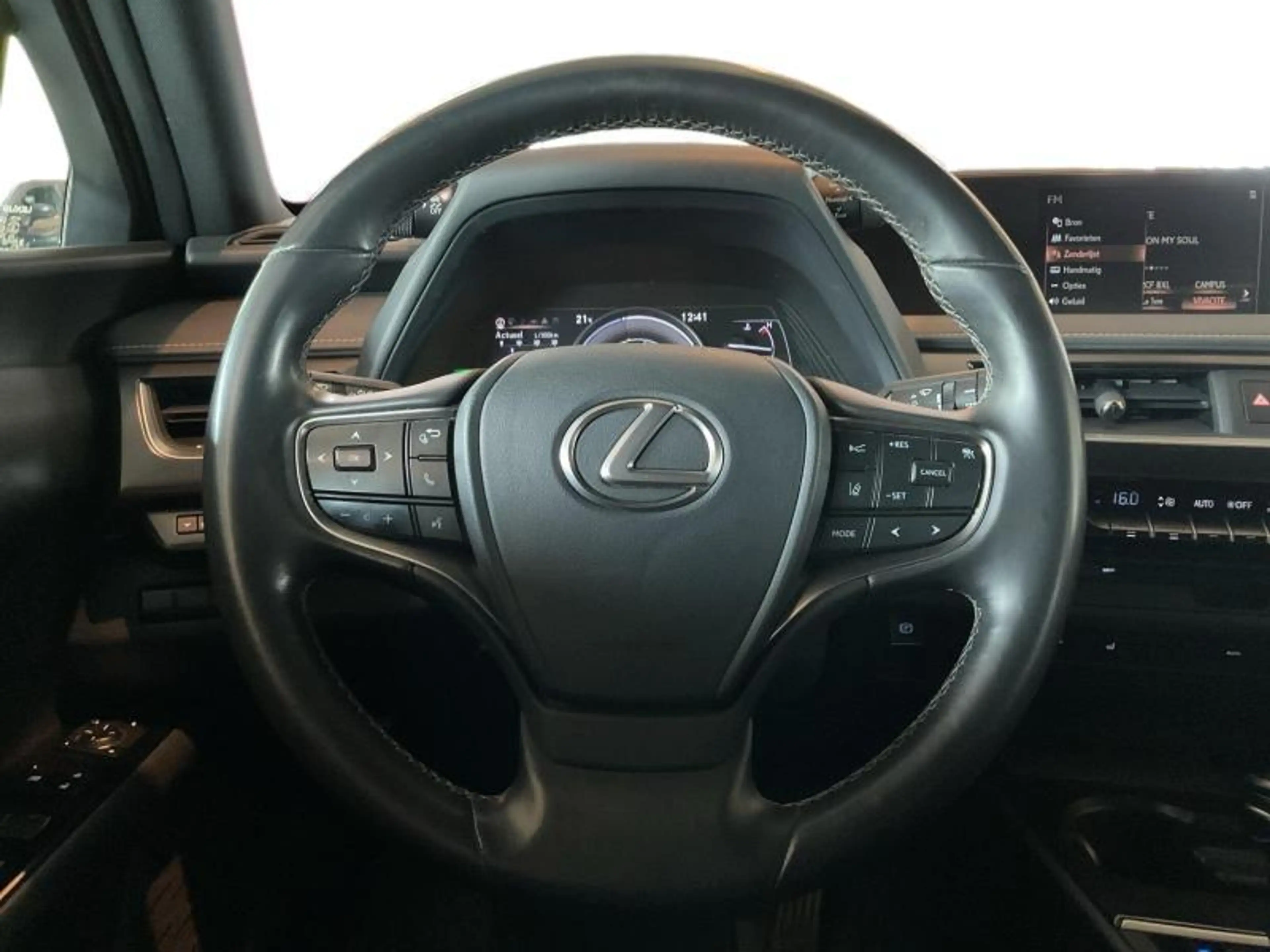 Lexus UX 250h Black Line — photo 8