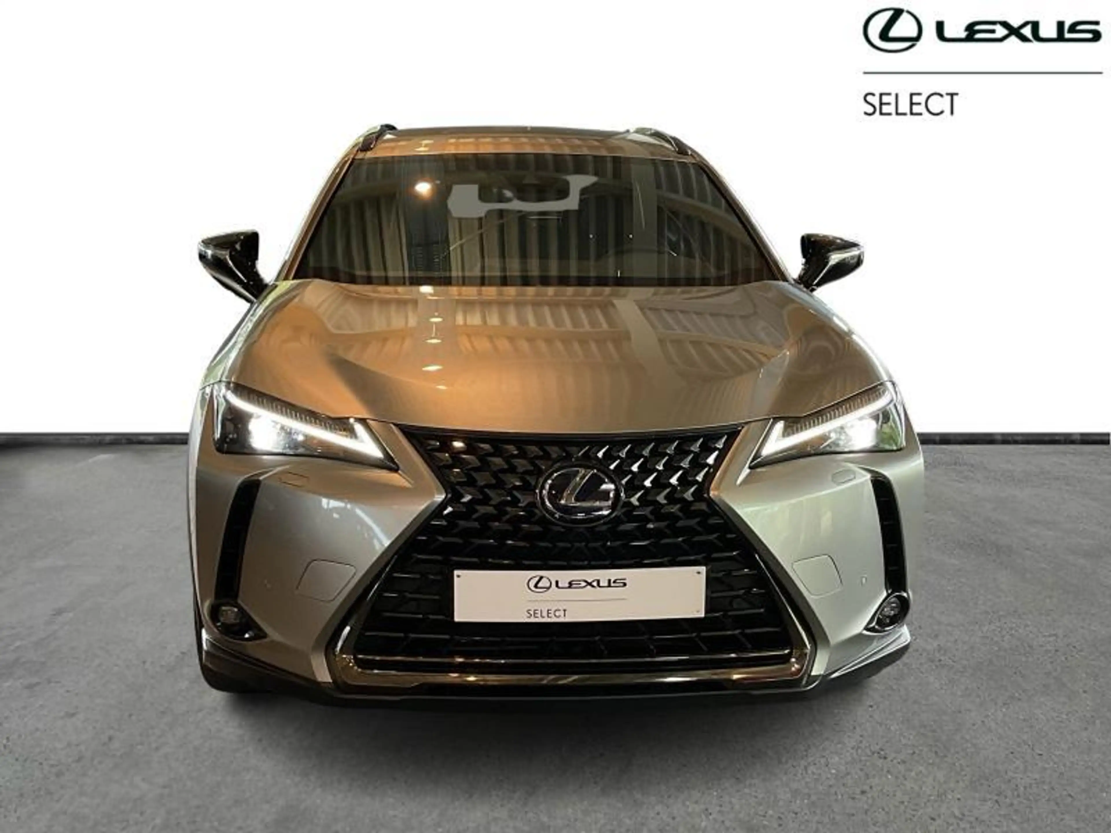 Lexus UX 250h Black Line — photo 5