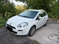 Fiat Punto Punto 1,2 69 Pop Pop Weiß - thumbnail 3